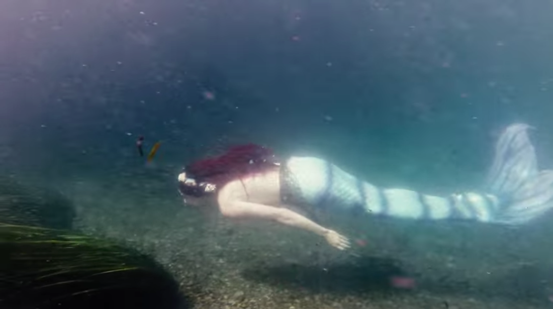 Corduroi :: "Mermaid Island"